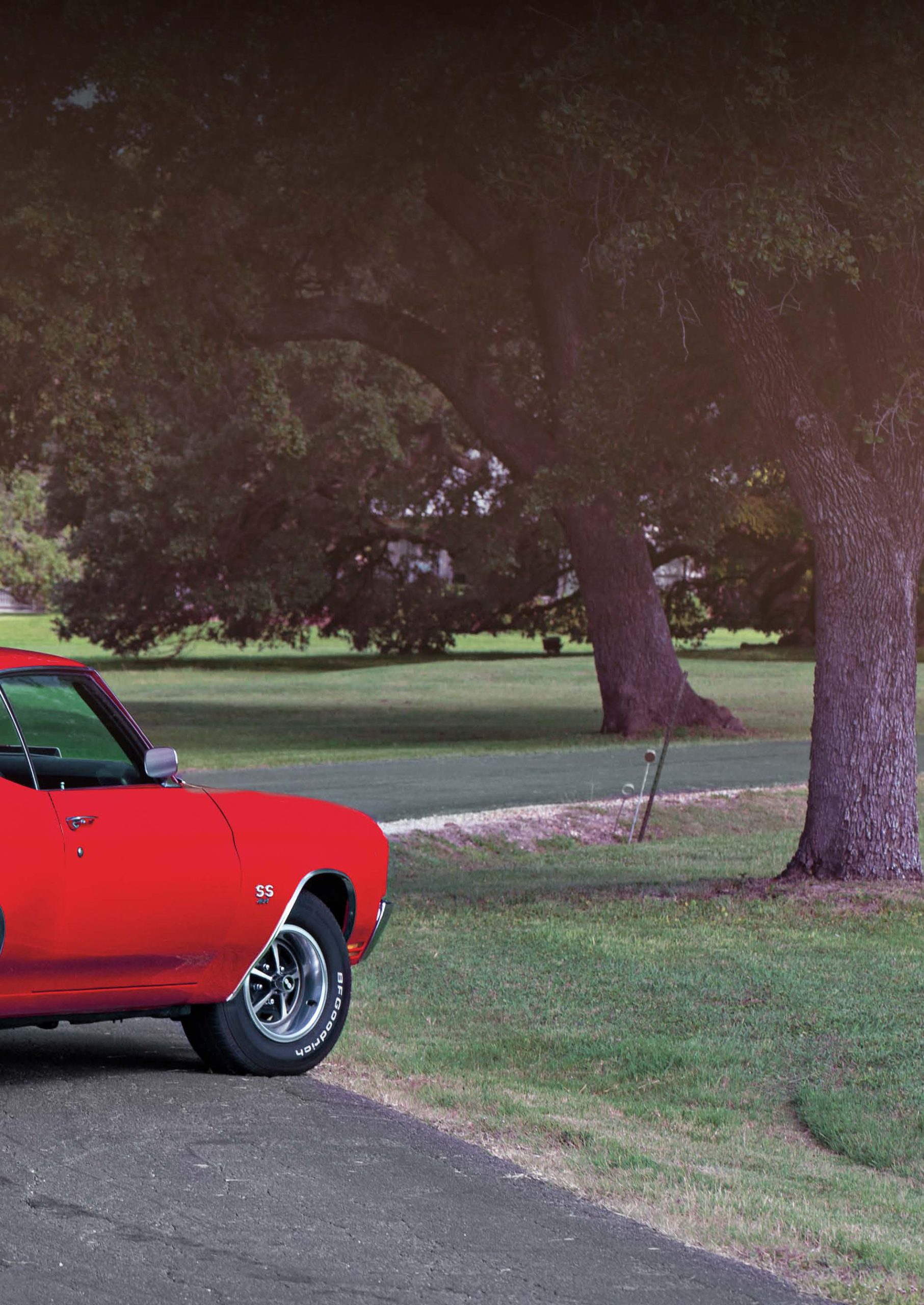 Chevrolet Chevelle SS (1968/70) — photo 8