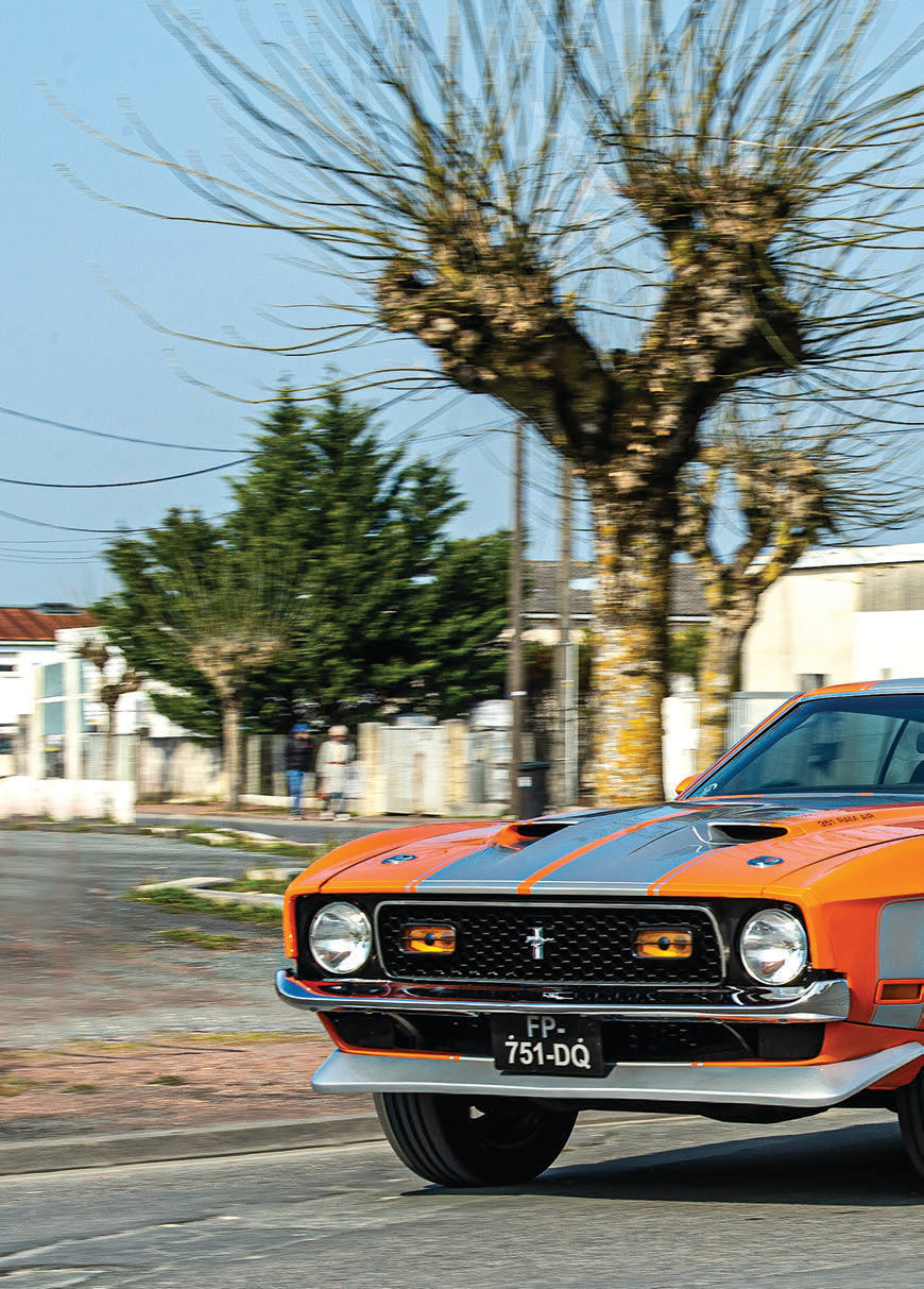 Ford Mustang Mach 1 1971 — photo 7