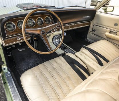 Mercury Cyclone — photo 4