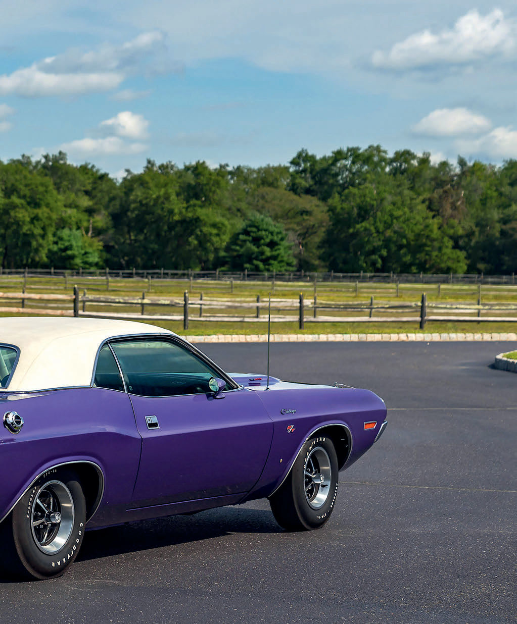 Dodge Challenger R/T 1970 — photo 8
