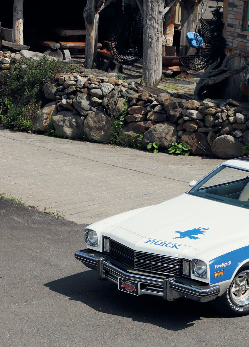 Buick Century Free Spirit 1975 — photo 1