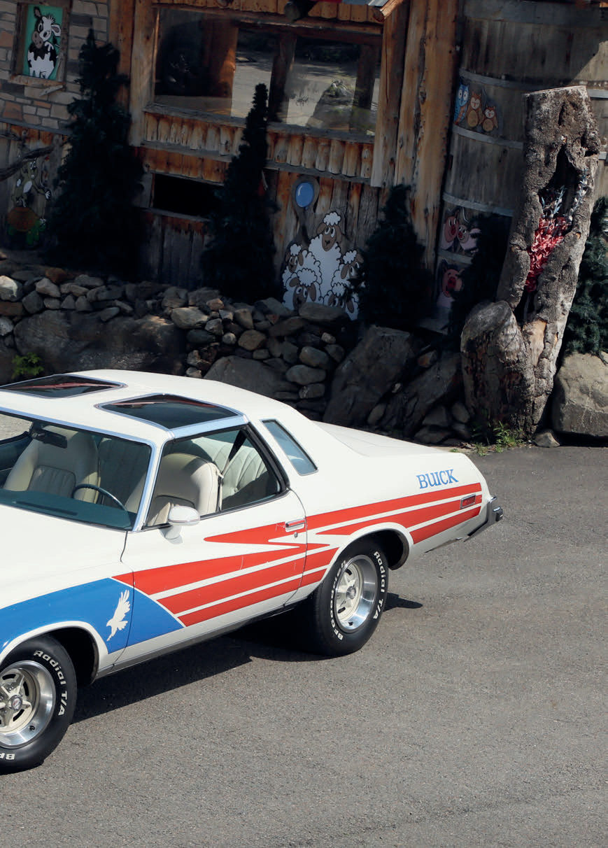Buick Century Free Spirit 1975 — photo 2