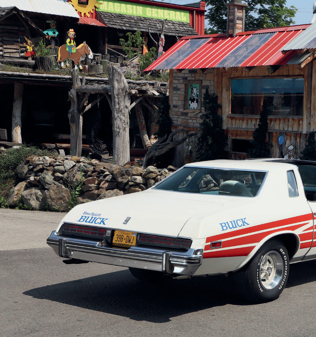 Buick Century Free Spirit 1975 — photo 7