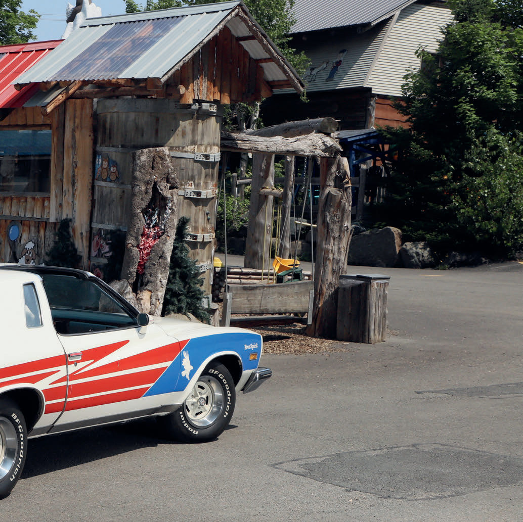 Buick Century Free Spirit 1975 — photo 8