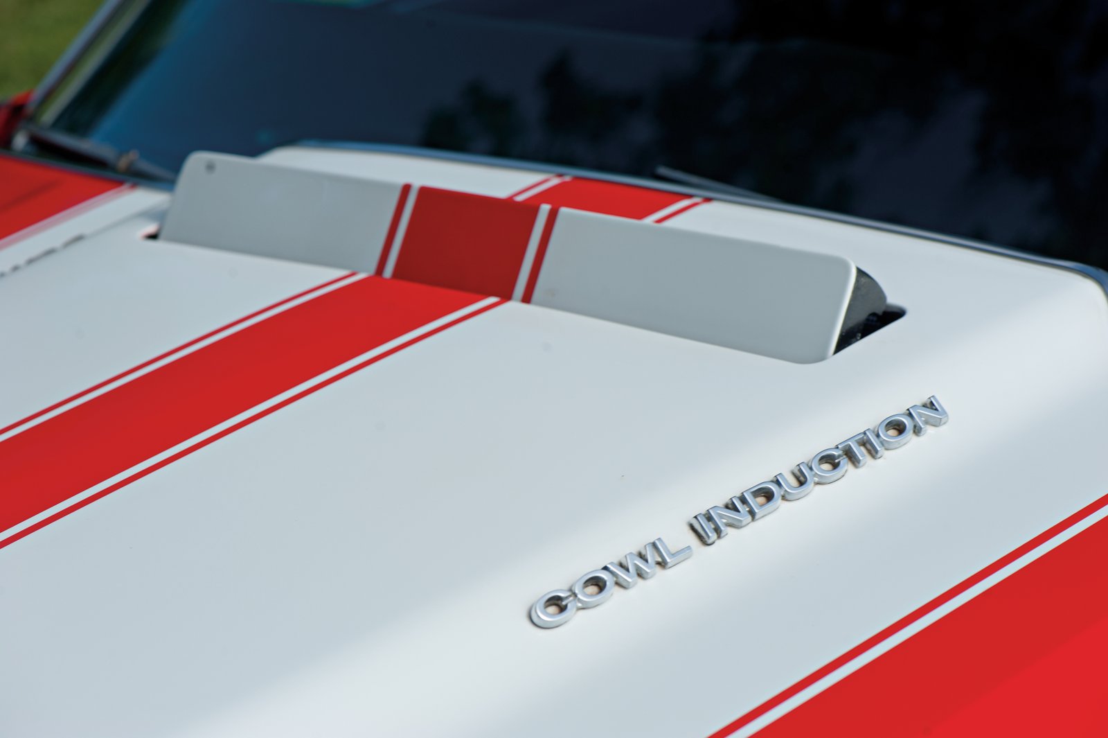 Chevrolet Chevelle SS 1968-1970 – photo 5