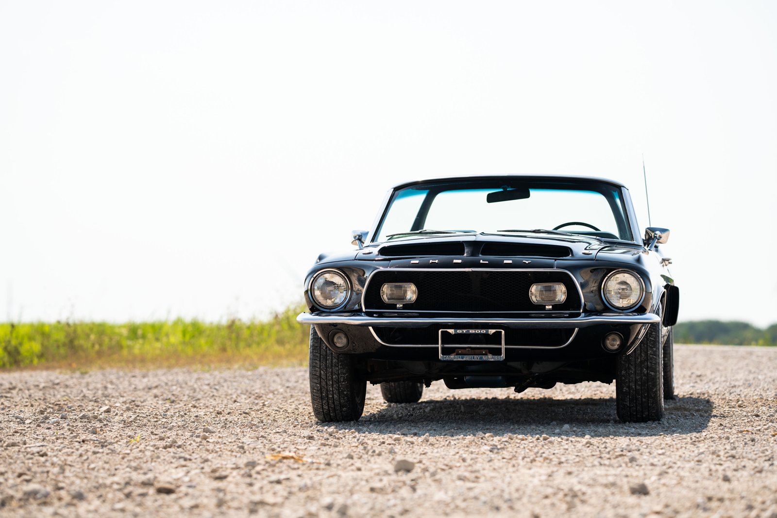 Shelby GT350/GT500 1967-1968 – photo 10