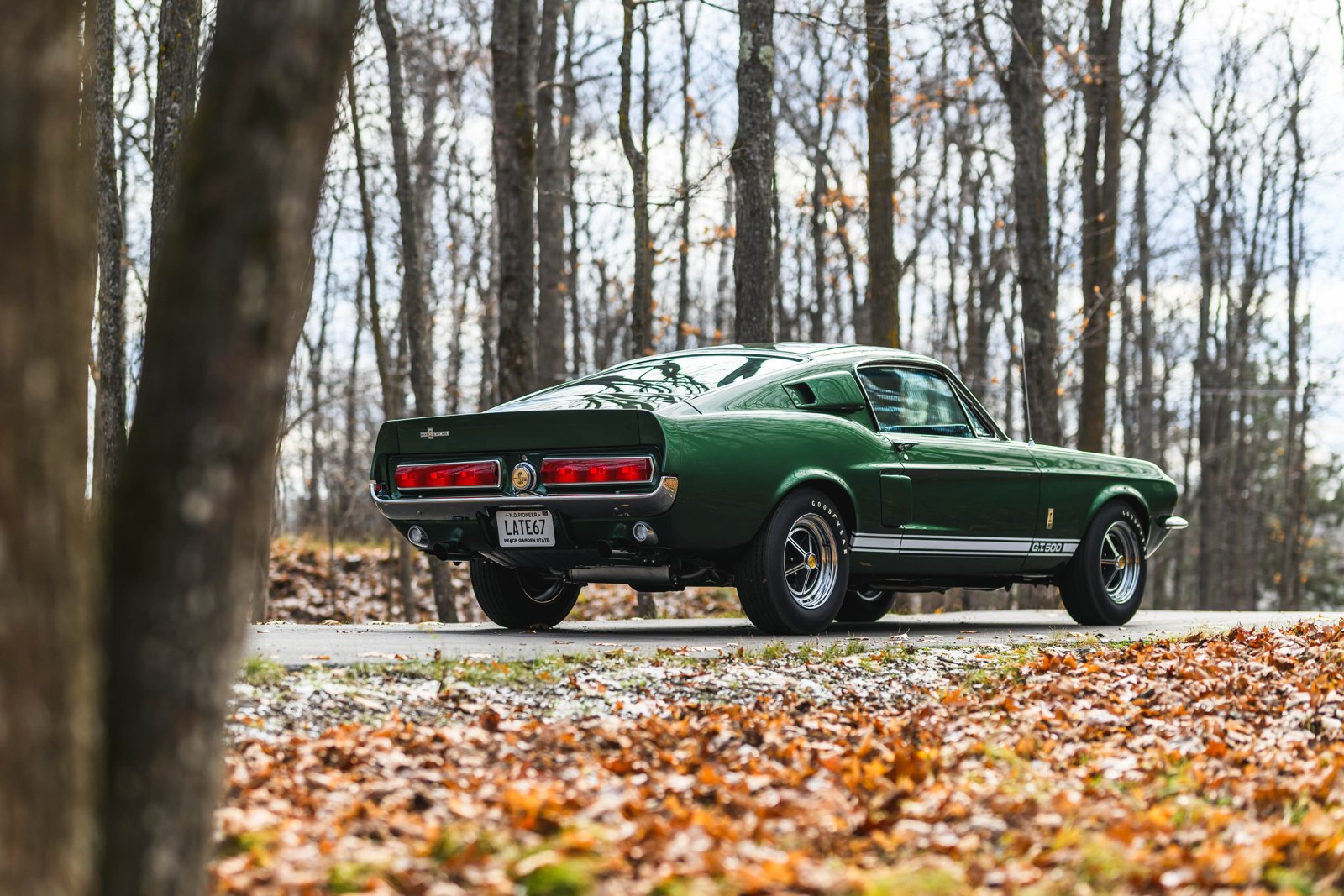 Shelby GT350/GT500 1967-1968 – photo 4