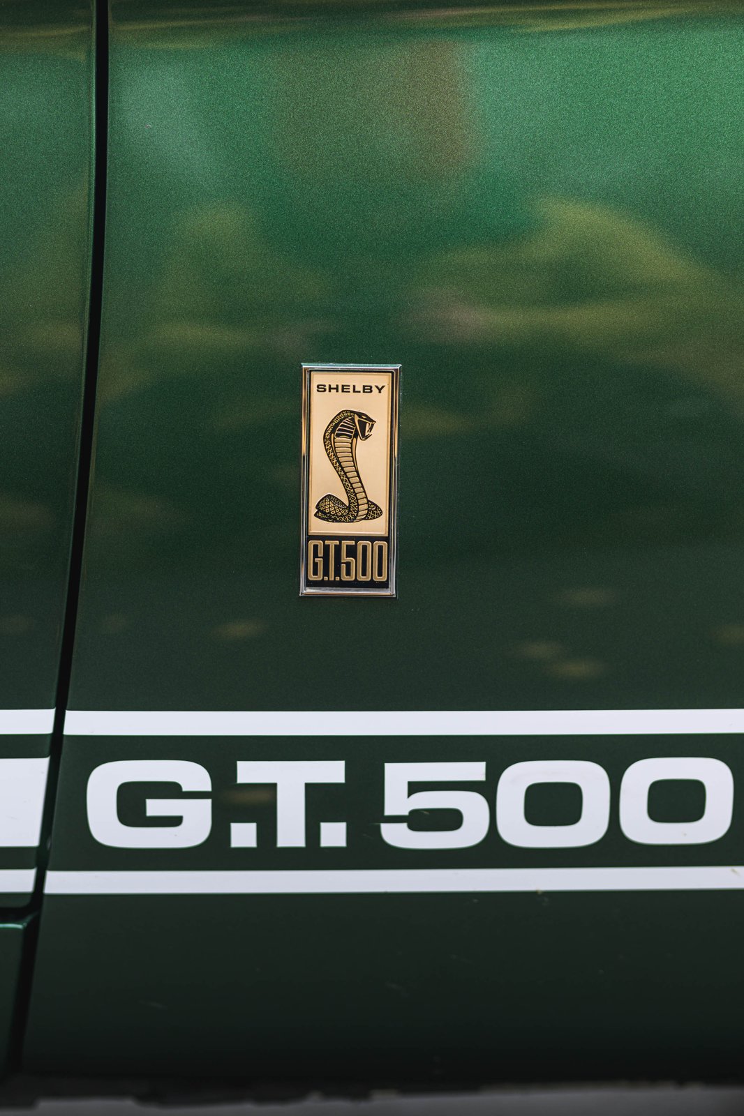 Shelby GT350/GT500 1967-1968 – photo 6